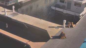 Weather camera view of Lake Powell Resorts and Marinas - Wahweap Marina.