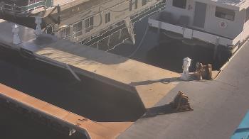 Weather camera view of Lake Powell Resorts and Marinas - Wahweap Marina.