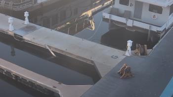 Weather camera view of Lake Powell Resorts and Marinas - Wahweap Marina.