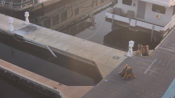 Weather camera view of Lake Powell Resorts and Marinas - Wahweap Marina.