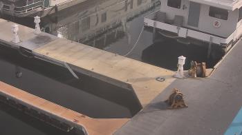 Weather camera view of Lake Powell Resorts and Marinas - Wahweap Marina.