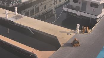 Weather camera view of Lake Powell Resorts and Marinas - Wahweap Marina.