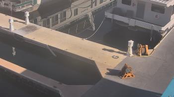Weather camera view of Lake Powell Resorts and Marinas - Wahweap Marina.