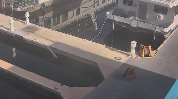 Weather camera view of Lake Powell Resorts and Marinas - Wahweap Marina.
