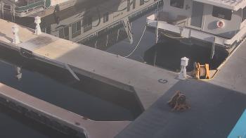 Weather camera view of Lake Powell Resorts and Marinas - Wahweap Marina.