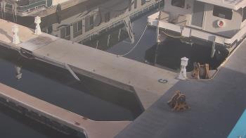 Weather camera view of Lake Powell Resorts and Marinas - Wahweap Marina.