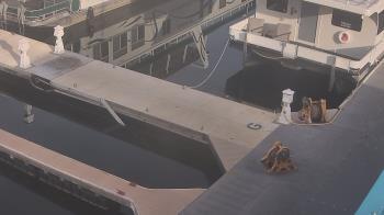 Weather camera view of Lake Powell Resorts and Marinas - Wahweap Marina.