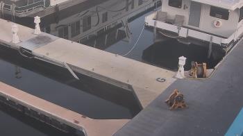 Weather camera view of Lake Powell Resorts and Marinas - Wahweap Marina.