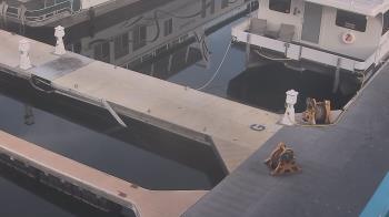 Weather camera view of Lake Powell Resorts and Marinas - Wahweap Marina.
