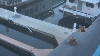 Weather camera view of Lake Powell Resorts and Marinas - Wahweap Marina.