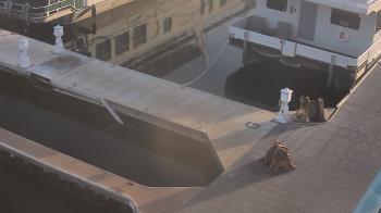 Weather camera view of Lake Powell Resorts and Marinas - Wahweap Marina.