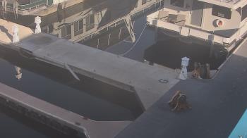 Weather camera view of Lake Powell Resorts and Marinas - Wahweap Marina.