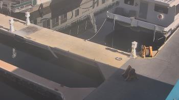 Weather camera view of Lake Powell Resorts and Marinas - Wahweap Marina.