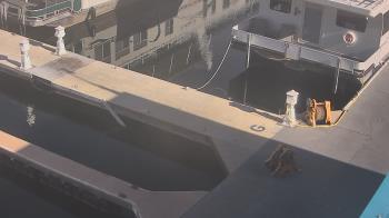 Weather camera view of Lake Powell Resorts and Marinas - Wahweap Marina.