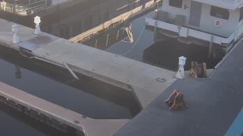 Weather camera view of Lake Powell Resorts and Marinas - Wahweap Marina.