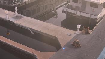 Weather camera view of Lake Powell Resorts and Marinas - Wahweap Marina.