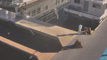 Weather camera view of Lake Powell Resorts and Marinas - Wahweap Marina.