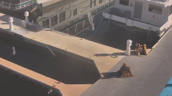 Weather camera view of Lake Powell Resorts and Marinas - Wahweap Marina.