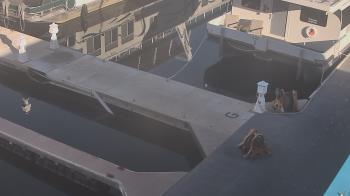 Weather camera view of Lake Powell Resorts and Marinas - Wahweap Marina.