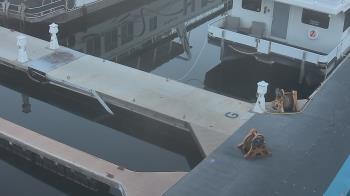 Weather camera view of Lake Powell Resorts and Marinas - Wahweap Marina.