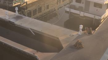 Weather camera view of Lake Powell Resorts and Marinas - Wahweap Marina.