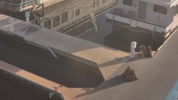 Weather camera view of Lake Powell Resorts and Marinas - Wahweap Marina.