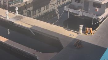 Weather camera view of Lake Powell Resorts and Marinas - Wahweap Marina.