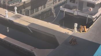 Weather camera view of Lake Powell Resorts and Marinas - Wahweap Marina.