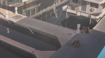Weather camera view of Lake Powell Resorts and Marinas - Wahweap Marina.