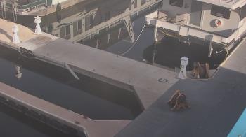 Weather camera view of Lake Powell Resorts and Marinas - Wahweap Marina.