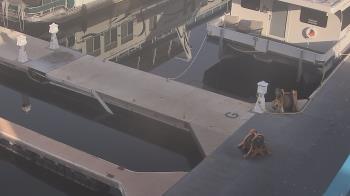 Weather camera view of Lake Powell Resorts and Marinas - Wahweap Marina.
