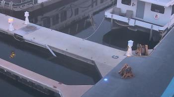 Weather camera view of Lake Powell Resorts and Marinas - Wahweap Marina.