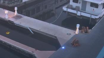 Weather camera view of Lake Powell Resorts and Marinas - Wahweap Marina.