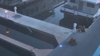 Weather camera view of Lake Powell Resorts and Marinas - Wahweap Marina.