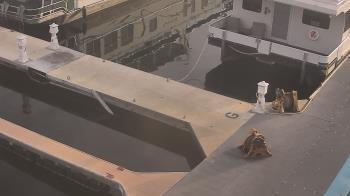 Weather camera view of Lake Powell Resorts and Marinas - Wahweap Marina.