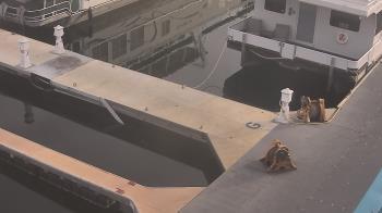 Weather camera view of Lake Powell Resorts and Marinas - Wahweap Marina.