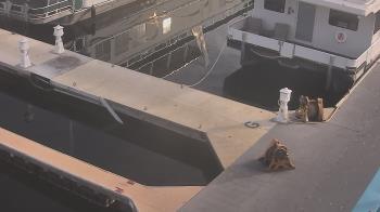 Weather camera view of Lake Powell Resorts and Marinas - Wahweap Marina.