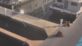Weather camera view of Lake Powell Resorts and Marinas - Wahweap Marina.