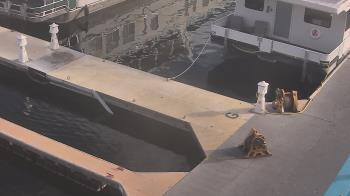 Weather camera view of Lake Powell Resorts and Marinas - Wahweap Marina.
