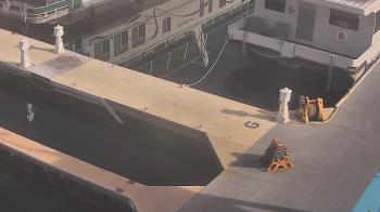 Weather camera view of Lake Powell Resorts and Marinas - Wahweap Marina.