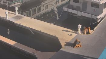 Weather camera view of Lake Powell Resorts and Marinas - Wahweap Marina.
