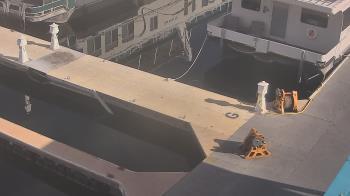 Weather camera view of Lake Powell Resorts and Marinas - Wahweap Marina.
