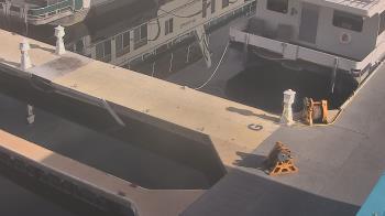 Weather camera view of Lake Powell Resorts and Marinas - Wahweap Marina.