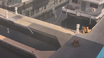 Weather camera view of Lake Powell Resorts and Marinas - Wahweap Marina.