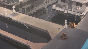Weather camera view of Lake Powell Resorts and Marinas - Wahweap Marina.