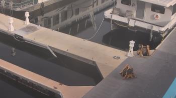 Weather camera view of Lake Powell Resorts and Marinas - Wahweap Marina.