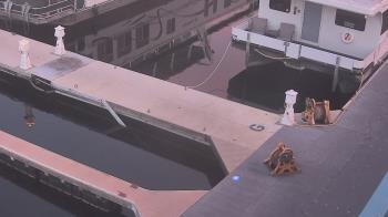 Weather camera view of Lake Powell Resorts and Marinas - Wahweap Marina.