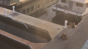 Weather camera view of Lake Powell Resorts and Marinas - Wahweap Marina.