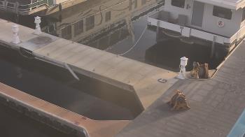 Weather camera view of Lake Powell Resorts and Marinas - Wahweap Marina.