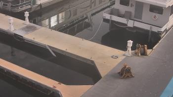 Weather camera view of Lake Powell Resorts and Marinas - Wahweap Marina.